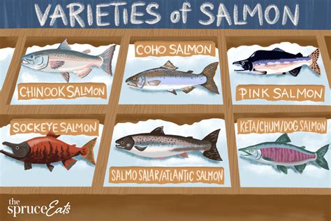 Yes, There's  Than One Type of Salmon—Here's What You .